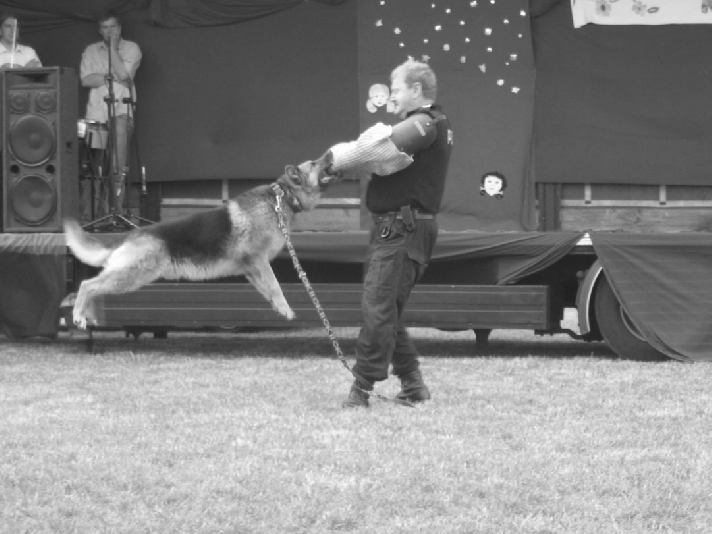 Wyst¹pi³ zespó³ z Bia³orusi, zespó³ cyrkowy oraz szkolny z Drzonowa, z Krusina, zespó³ teatralny ak z gimnazjum w Lisewie, zespó³ wokalny Jak oni œpiewaj¹ Zwi¹zku Emerytów i