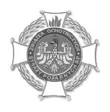 Dzieci wo one by³y wozem stra ackim oraz bryczk¹ z Domu Pomocy Spo³ecznej w Mgoszczu. Festyn zakoñczy³ siê zabaw¹ taneczn¹.