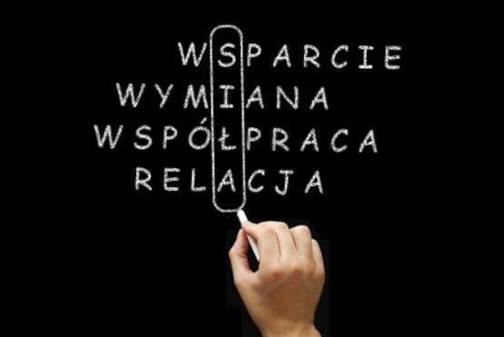 W ramach współpracy instytucjonalnej wspólnie organizowano spotkania, które niejednokrotnie miały charakter lub elementy superwizji. W 2015 roku odbyły się 4 spotkania połączone z wymianą doświadczeń.