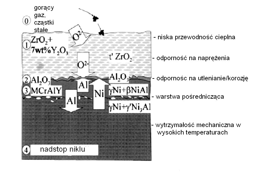 Schemat budowy łopatki z warstwą