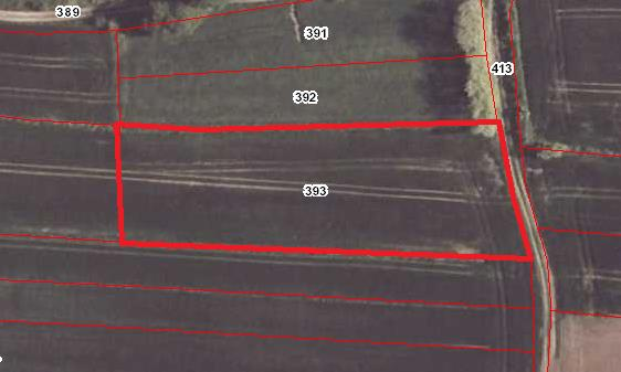 UKSZTAŁTOWANIE TERENU NIERUCHOMOŚCI: Działka nr 393 w Morawicy kształtem zbliżona do czworokąta o średnich wymiarach wynoszących około: 30 m x 94 m. Teren lekko falisty.