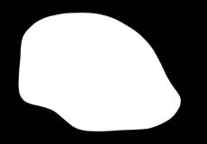 PinchGuard.