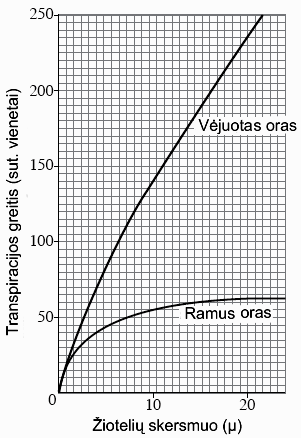 11 iš 18 4 klausimas. Grafikas vaizduoja augalo* transpiracijos greitį vėjuotame ir ramiame ore. 1. prašykite, kaip transpiracijos greitis ramiame ore priklauso nuo žiotelių* skersmens.. 2.