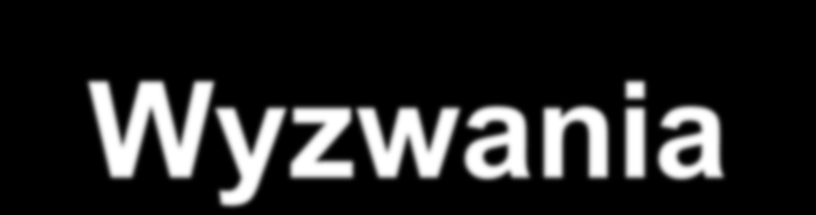 Wyzwania Niezawodność połączenia radiowego odporność na interferencję fal dobry zasięg wewnątrz