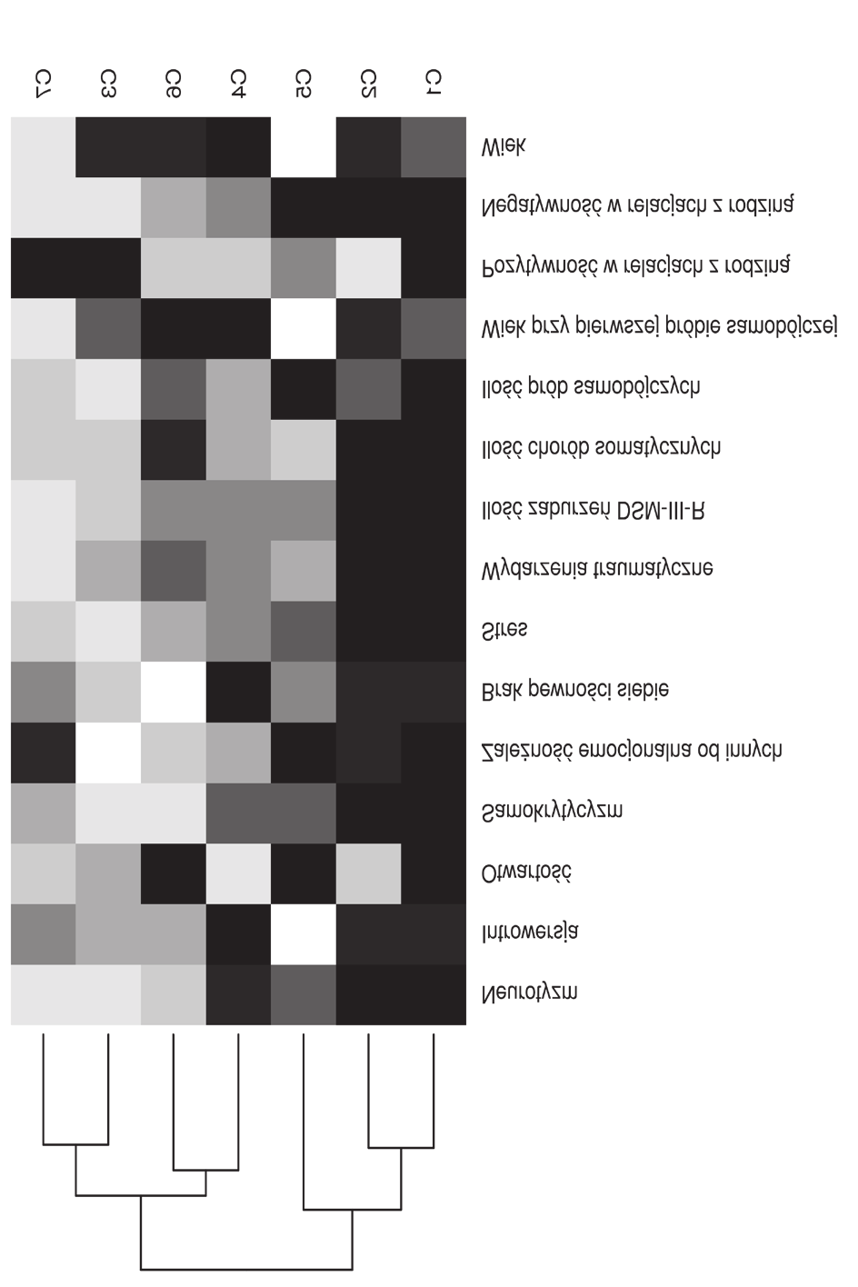 1260 Tymoteusz Wołodźko, Andrzej Kokoszka Niemal wyłącznie mężczyźni, w czwartej dekadzie życia, nadużywający alkoholu i narkotyków, mający nastroje depresyjne, z których większość ma osobowość