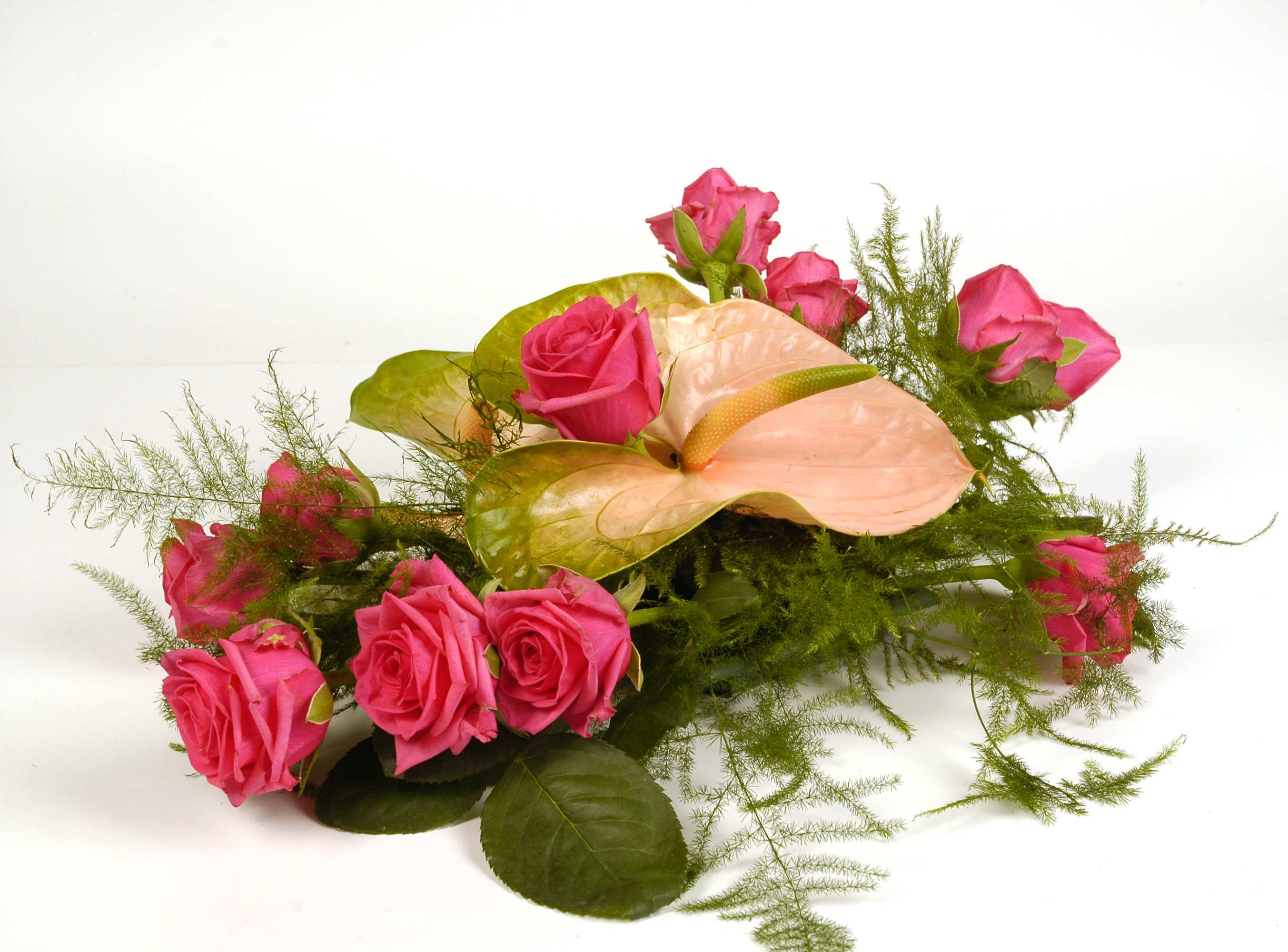 naczynie + oasis 1 numer kompozycji: i - 0 8 anthurium wielkokwiatowe