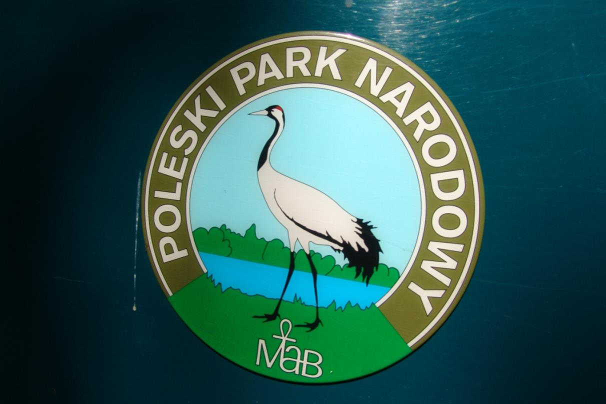 Poleski i