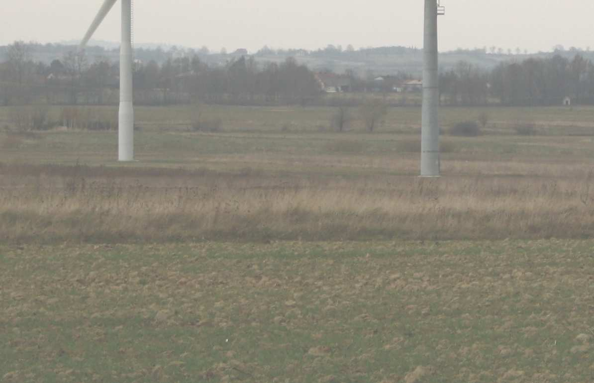 Lutynek na gatunki nietoperzy ujęte w Dyrektywie Siedliskowej UE
