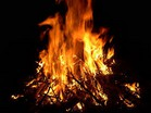 materiałów (np. kredkami, naklejkami, itp.) oraz wykonują proste prace plastyczne Cena obejmuje materiały oraz drewnianą ozdobę dla każdego uczestnika, którą ten może zabrać na pamiątkę.