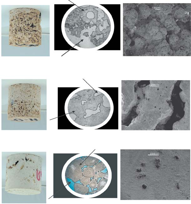 Badania ultradÿwiêkowe w ocenie deterioracji ska³ 637 Badania makroskopowe próbki (Fig. 6A) p³ytek cienkich (Fig. 6B) oraz analizy skaningowe (Fig.