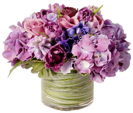 Happy Birthday to: Jonatan Ostrowski 19.6 Danielle Tomasiuk 19.6 Sara Wieczorek 20.6 Janusz Bartosik 23.6 Michal Olszewski 23.6 Ania Selent 23.