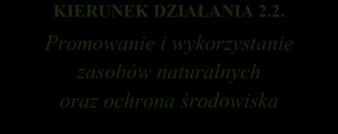 marginalizacją KIERUNEK DZIAŁANIA 2.1.