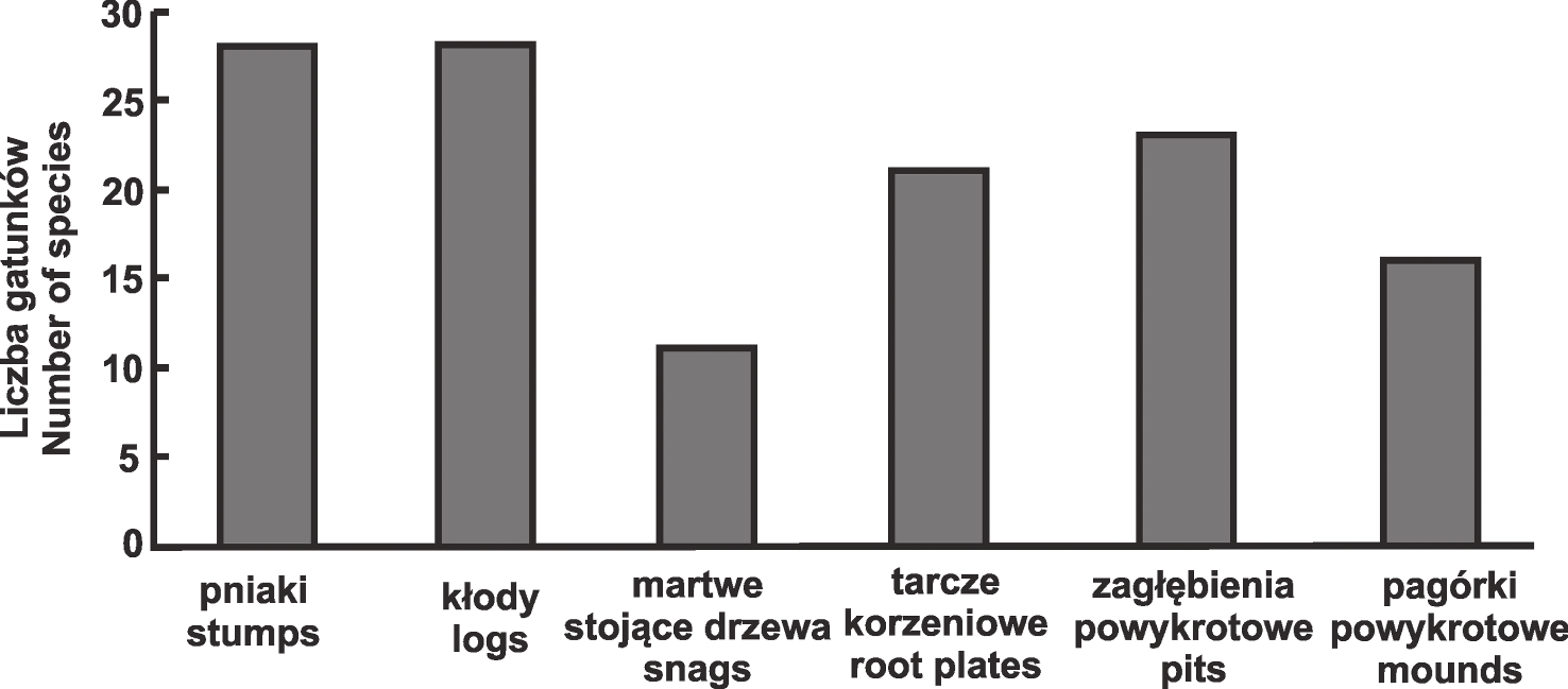 137 Flora-w¹trobowców-w-zbiorowiskach-leœnych-Karkonoszy 13