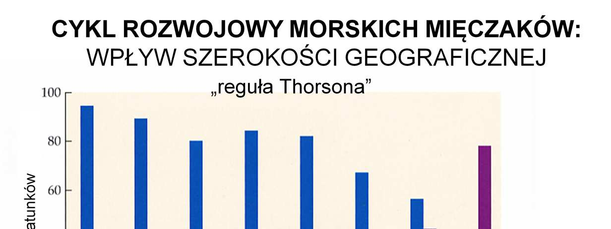 Reguła Thorsona dotyczy wielu bezkręgowców, orzeka, że na wyższych szerokościach geograficznych przeważa tendencja do małych lęgów, dużych jaj, opieki nad potomstwem, prostego rozwoju (słowem
