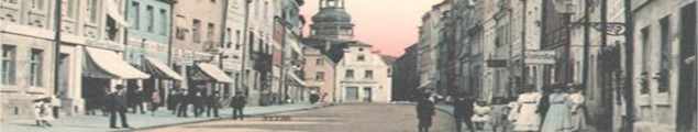 Ratusza oraz Muzeum Ziemi Szprotawskiej. 2. Została zawarta współpraca z dr inż. arch.