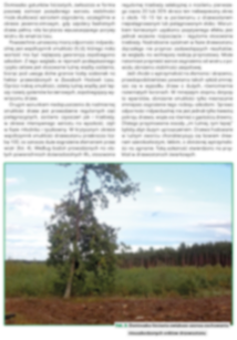 Silviculture Silviculture ABIOTIC DAMAGES