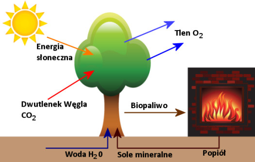 Energia z