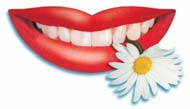 W ciągu ostatnich 3-dziesięcioleci rozwinęliśmy dla Państwa obszerny asortyment wosków dentystycznych.