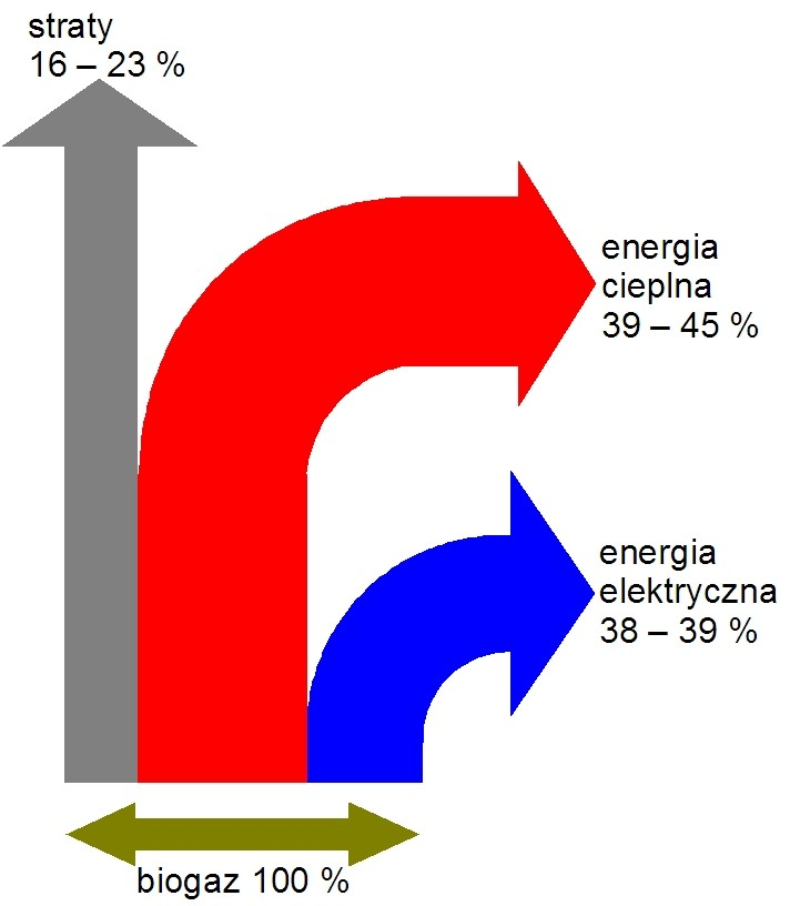 2.Energia uzyskiwana z biogazu biogaz en. elektryczna en.