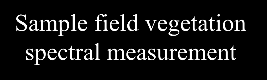 Sample field
