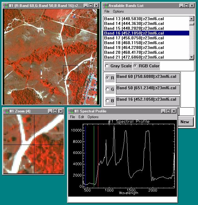 Image Measurements Reflectance spectrum of a live oak from Ft.