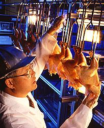 Automated Chicken Inspection Use of spectral imaging technology for on-line