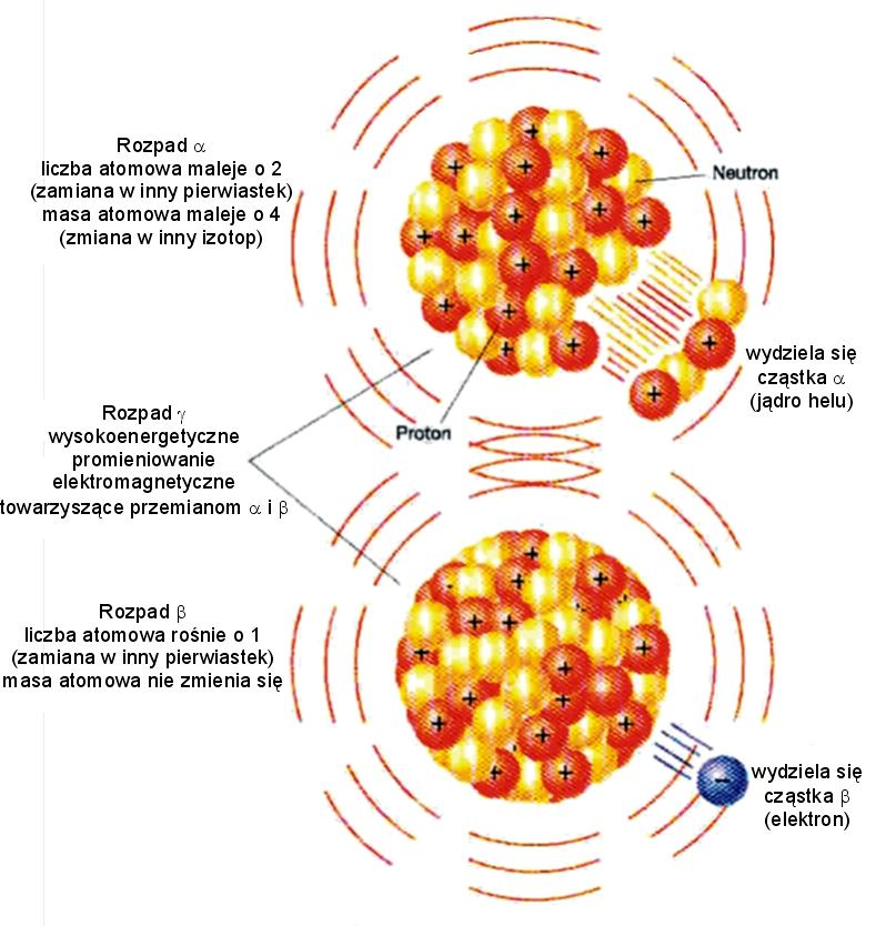09. Elementy geochemii izotopów 2 z wydzieleniem neutrina ν. Ta przemiana zachodzi wyłącznie w przypadku sztucznych izotopów promieniotwórczych.