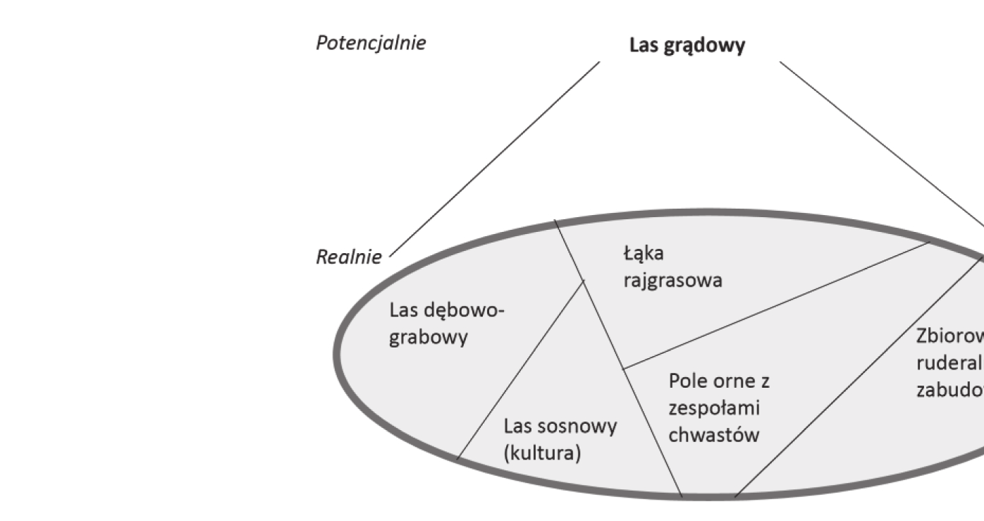 danego oddziaływania, przy zachowaniu wszystkich wcześniej omówionych uwarunkowań.