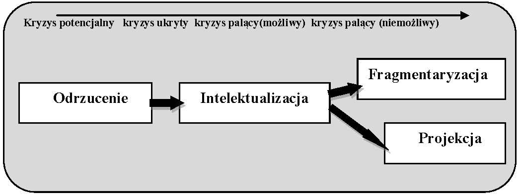 136 Współczesne organizacje wobec wyzwań zarządzania ryzykiem aspekty poznawcze Organizacje stopnia trzeciego mają szczegółowo opracowane plany i procedury w przypadku ograniczonej liczby kryzysów