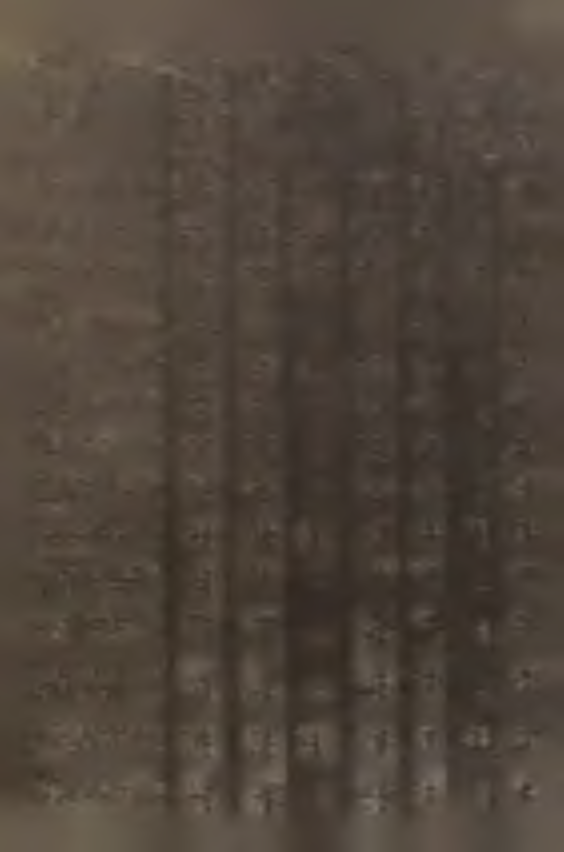 11 Tl.