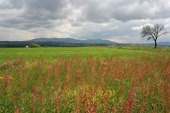PLAN OF THE LECTURE 1. Characteristic of rural area problems in Europe on Polish example 2.