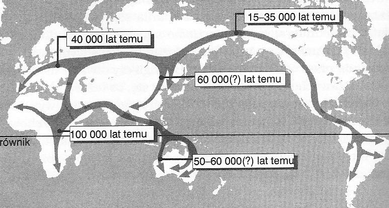 Paweł Lubiewski Ryc. 1. Mapa rozprzestrzeniania się Homo Sapiens w ciągu ostatnich 100 tys. lat. Źródło: Ch. Springer, R. McKie, Afrykański współczesnego, Warszawa 1999, s. 222. exodus.