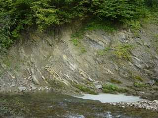 7. Inoceramy Rybotycze dz. ew.