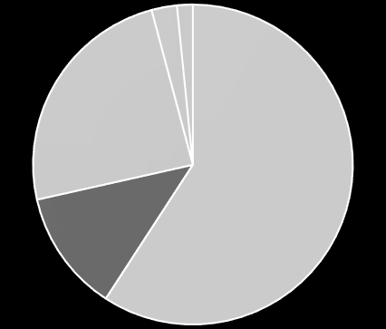 TWORZYWA PRZYCHODY Poliamid 6 (PA6) 2015: 13% Poliacetal (POM) Kaprolaktam Cykloheksanon H1 2016: 12% POLIAMID 6 ZASTOSOWANIE W KLUCZOWYCH SEGMENTACH BASF Lanxess DSM Radici Domo Grupa Azoty Aquafil