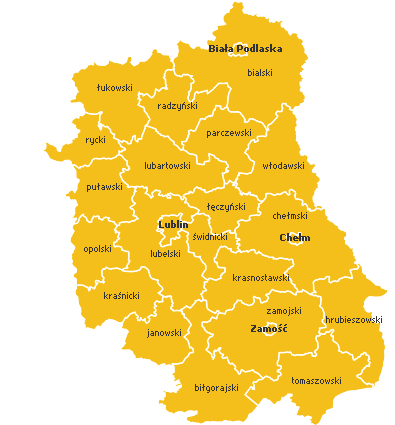 Działalność doradcza Plany Gospodarki Niskoemisyjnej Plany Gospodarki Niskoemisyjnej w województwie lubelskim ocenione przez Doradców Energetycznych 163 PGN złożone do Urzędu Marszałkowskiego