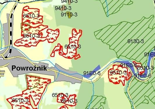 Oznaczenia 6510-3 - łąka mieczykowo-mietlicowa Gladiolo-Agrostietum 91E0-6 - nadrzeczna olszyna górska Alnetum incanae - odwiert IVa Powroźnik Rys. 13.