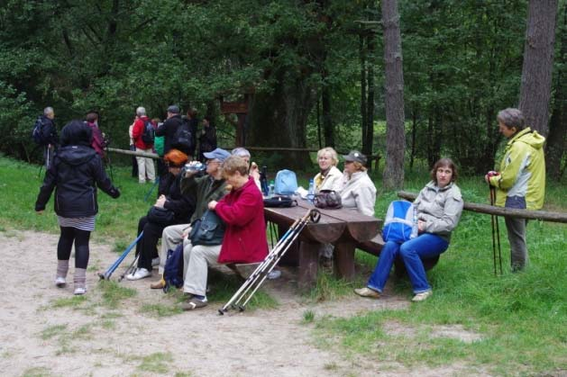 przygotowały paczki dla rodzin wielodzietnych i osób