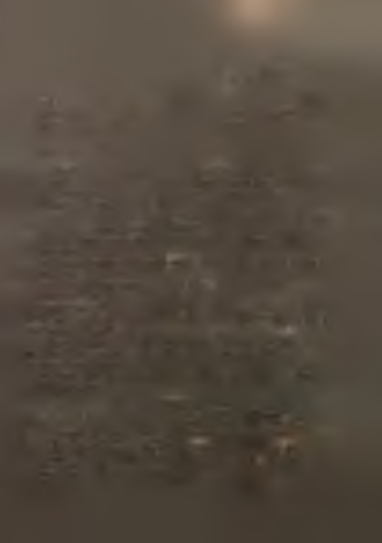 I 7 I -VI 1989 w liczbach bezwzględnych I - VI 1988=100 w tym gospodarka nieuspołeczniona 7533 93,4 Skup mleka w tys.litrów 48714 108,0 Skup jaj w tys.