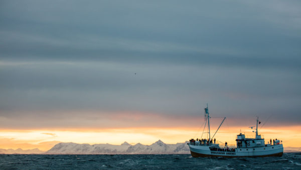 WYPRAWA NA PÓŁNOC NORWEGII PROGRAM wyjazdu na Północ Norwegii Lofoty i Nordkapp 10-16 lipca 2017 10 lipca poniedziałek Zbiórka na lotnisku Okęcie o godz. 7:30. Odlot do Oslo o godz. 9:20.