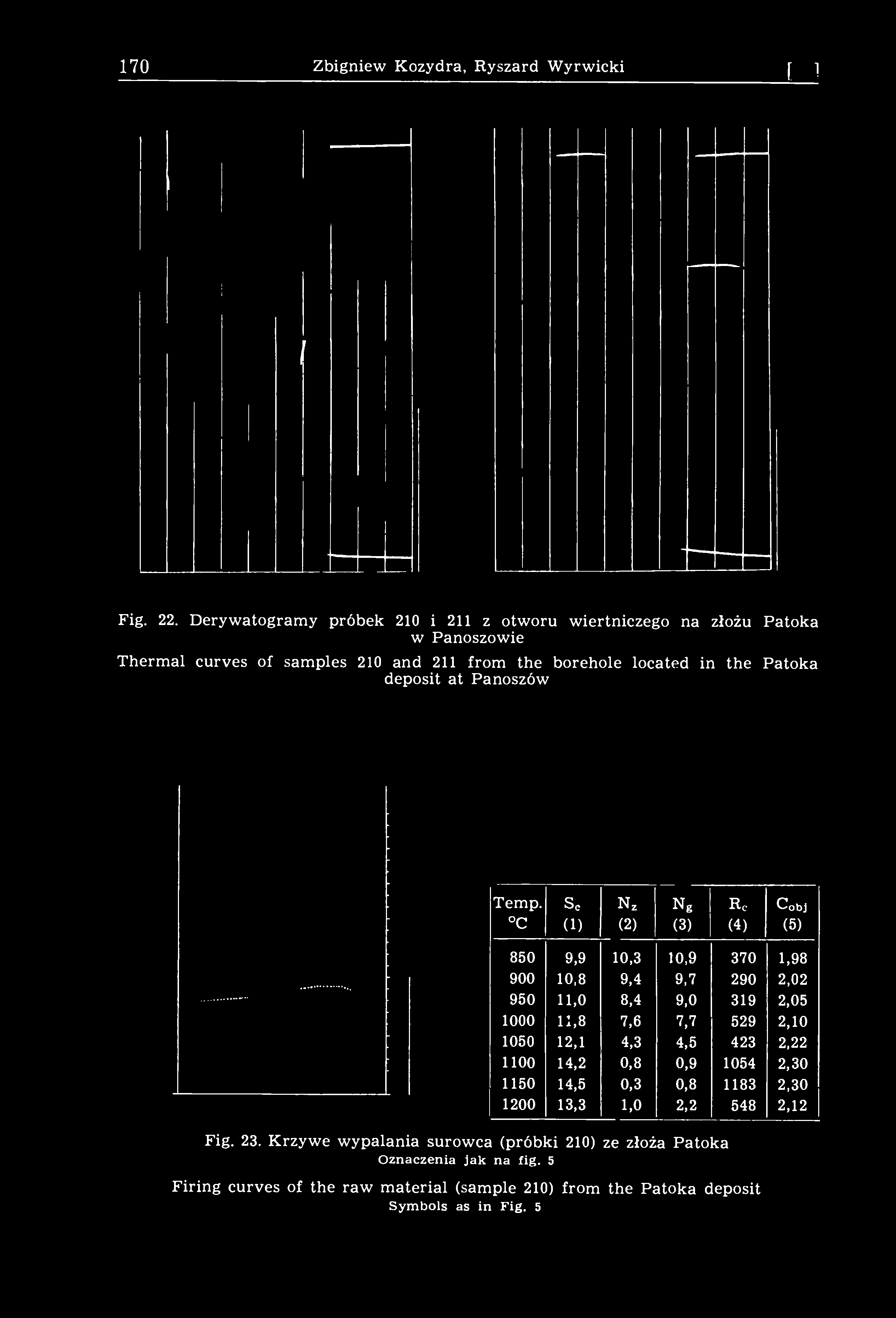 170 Zbigniew Kozydra, Ryszard Wyrwicki [101 Fig. 22.