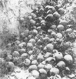 Szczątki ofiar z Ostrówek i Woli Ostrowieckiej - wydobyte z dołów śmierci podczas ekshumacji w