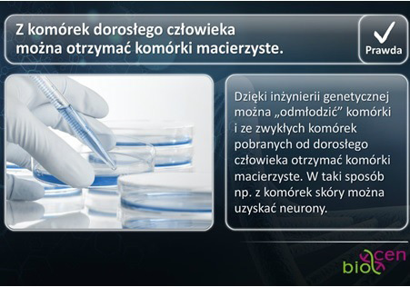 Jest to wydawnictwo EIROforum wspierane przez Komisję Europejską. Czasopismo, dostępne również w wersji on-line, promuje edukację naukową w zakresie przedmiotów przyrodniczych.
