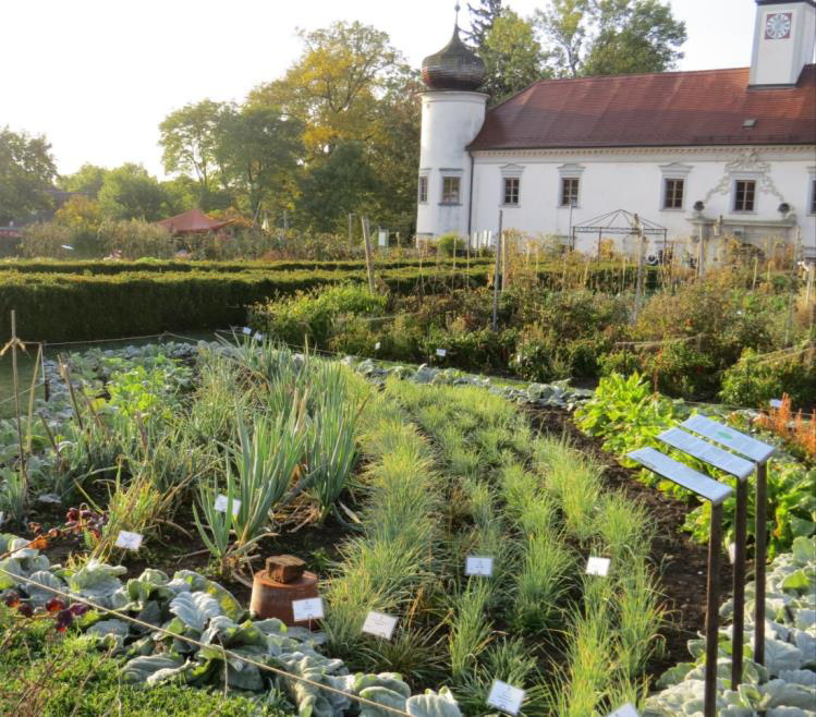What is ARCHE NOAH? Association since 1990 11.000 Members Organic Visitor's Garden 6.