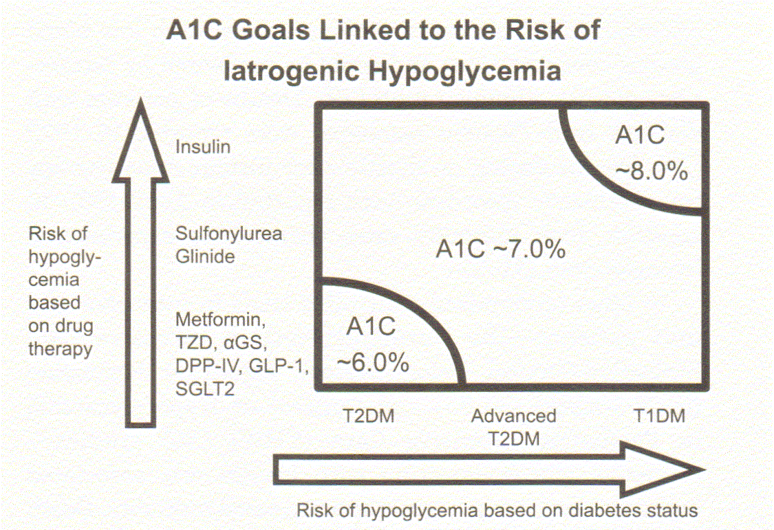 Cele HbA1c w zestawieniu z jatrogenną hipoglikemią Insulina Ryzyko hipoglikemii w oparciu o terapię hipoglikemizującą Sulfonylomoczniki Glinidy Metformina TZD, ags DPP-4b, GLP1mim SGLT2b T2DM