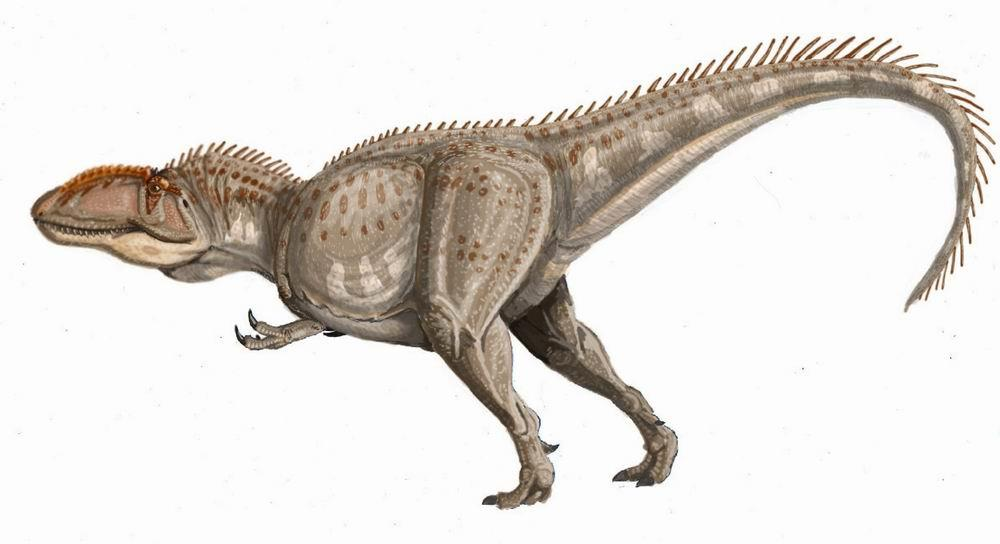 DINOZAURY DINOSAURER Wiele milionów lat temu, zanim na Ziemi pojawili się ludzie, żyły na naszej planecie inne zwierzęta niż obecnie. Między innymi były to dinozaury.