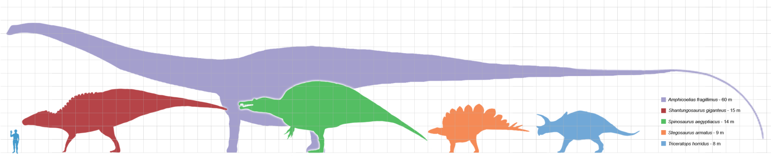 Porównanie wielkości dinozaurów i człowieka fot. Matt Martyniuk 1. Prawda czy fałsz? P F Nazwa dinozaur pochodzi z łaciny i znaczy straszliwa bestia.