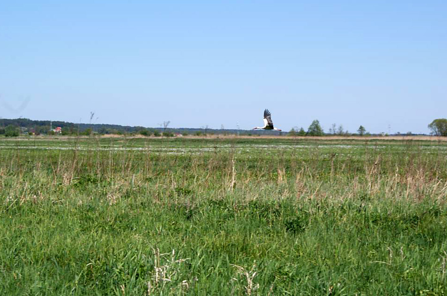są tzw.,,zastawki krzyżowe mające 4-stronne światło i występujące na głównym rowie doprowadzającym wodę na obiekt z rzeki Supraśl (fot. 2).