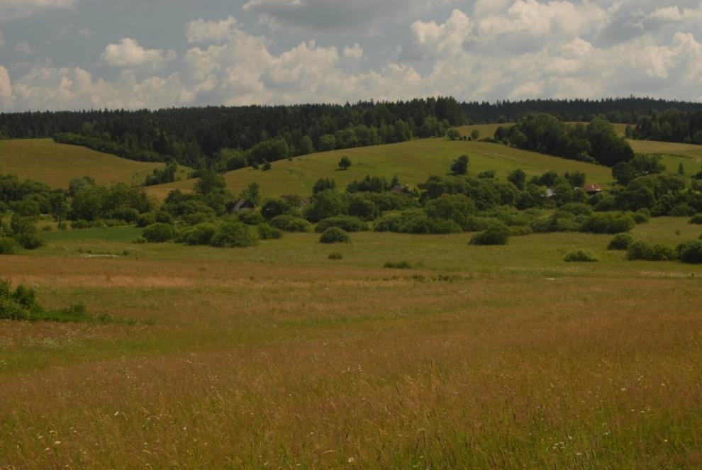 Klasyfikacja