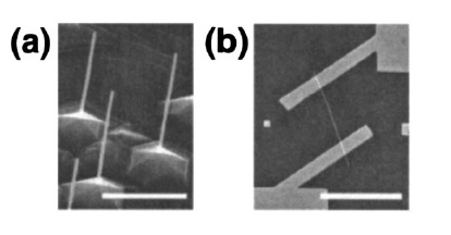 Rysunek 32: (a) Wzrost nanodrutów.