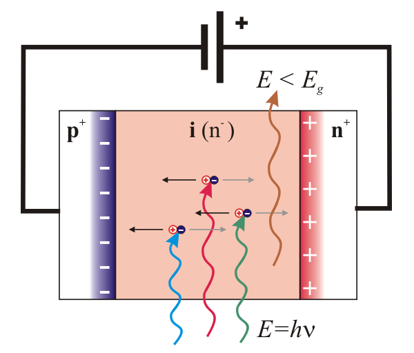 Efekt fotoelektryczny Fotodioda W wyniku efektu fotoelektrycznego wewnętrznego światło padające na fotodiodę wytwarza nośniki prądu, pary elektron-dziura mierzymy przepływ ładunku